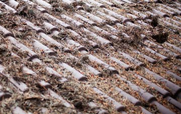 Pennington roof cleaning companies